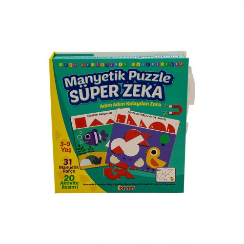 Manyetik Puzzle Süper Zeka